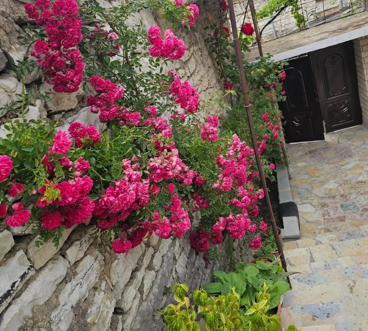 Luigi Guest House Gjirokastër 0*,  알바니아
